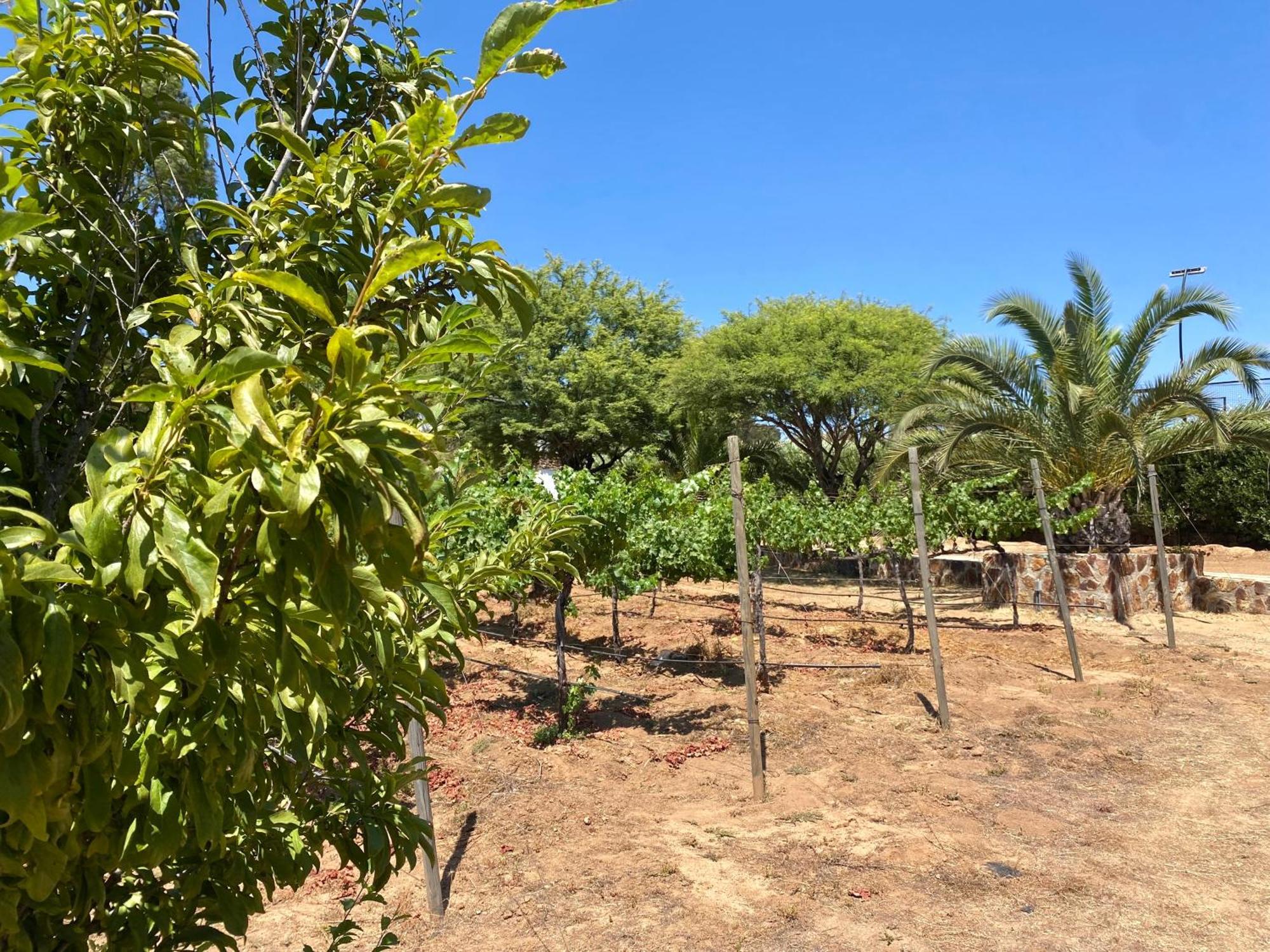 ホテル Tierra Mia Hacienda Ruta Del Vino バジェ・デ・グアダルーペ エクステリア 写真