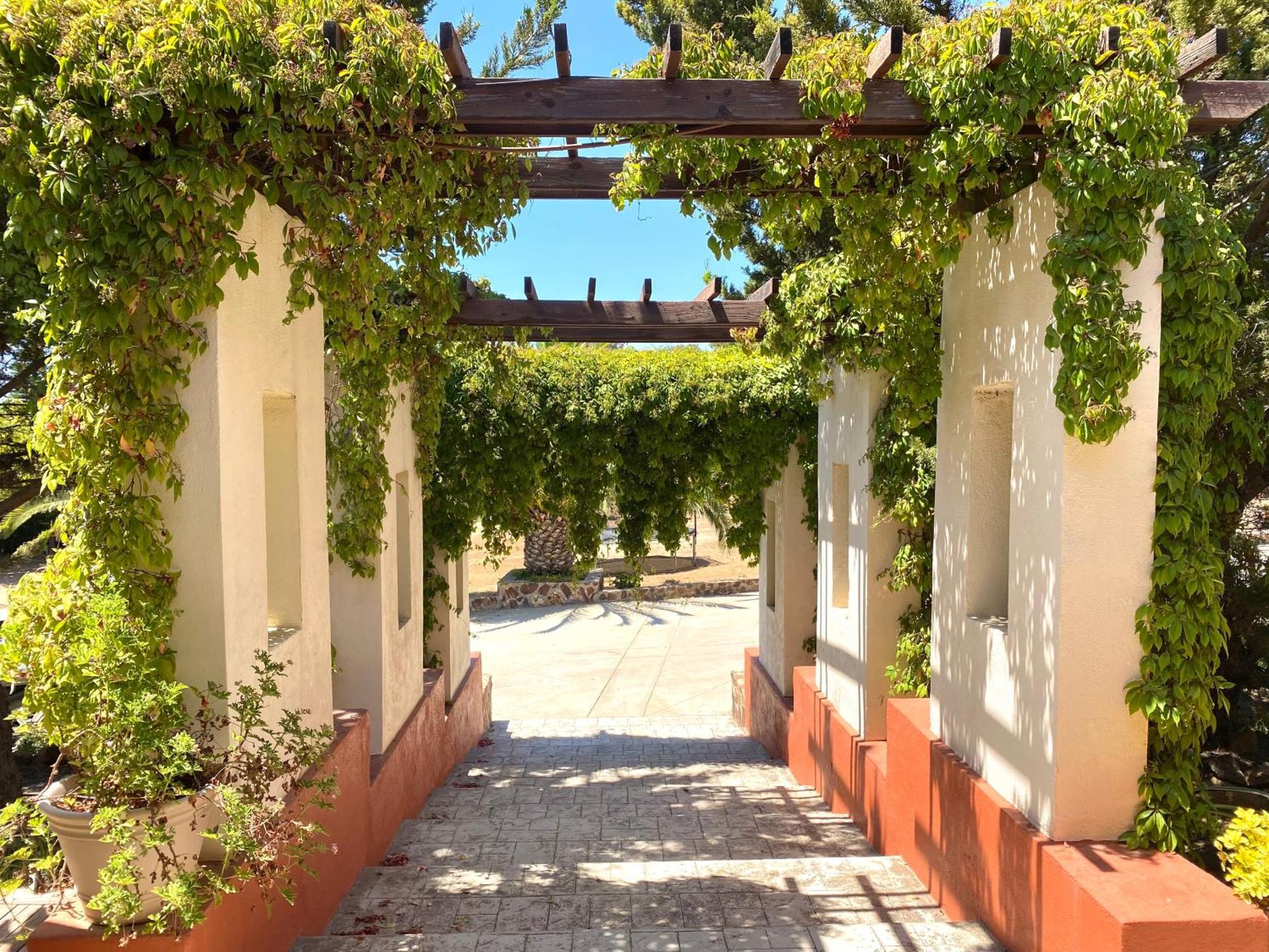 ホテル Tierra Mia Hacienda Ruta Del Vino バジェ・デ・グアダルーペ エクステリア 写真